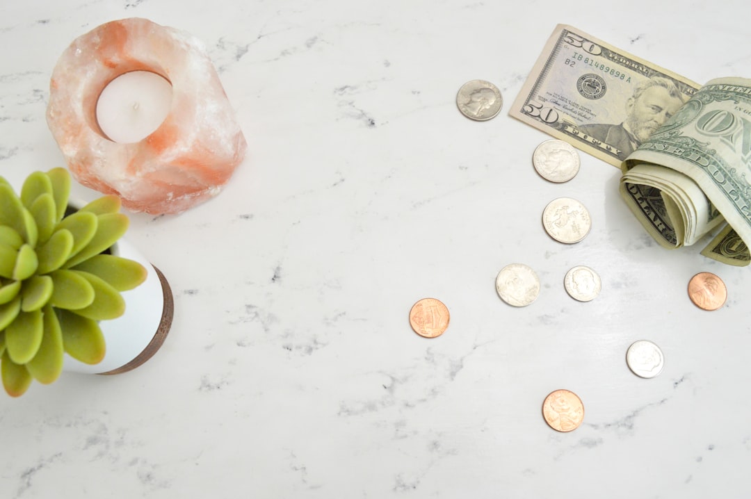 Money flatlay photo with succulent and himalayan salt candle for personal finance bloggers and entrepreneurs.